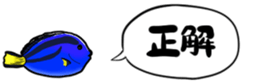 416792808