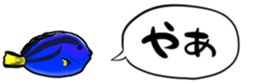 416792810