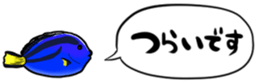 416792813