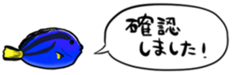 416792816