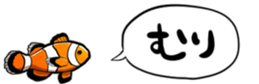 416794294