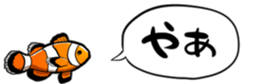 416794298