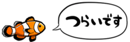 416794301