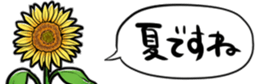 416796095