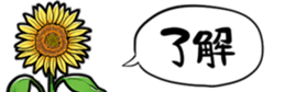 416796096