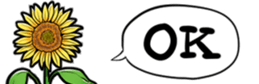 416796098