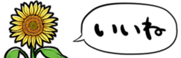 416796108