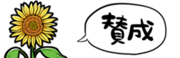 416796114