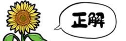 416796120