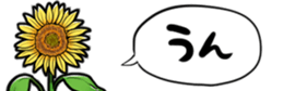 416796126