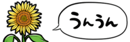 416796127