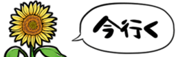 416796130