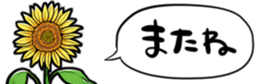 416796132