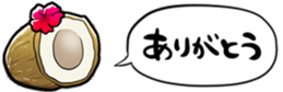 416799260
