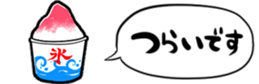 416801693