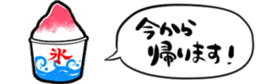 416801699
