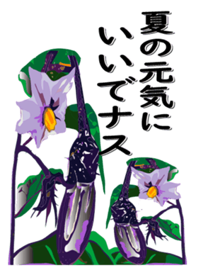 416816080