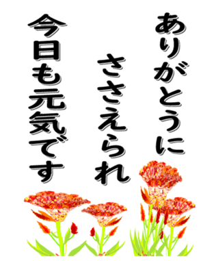 416816087