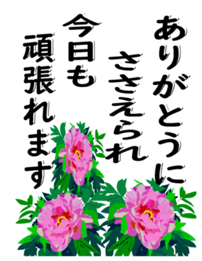 416816093