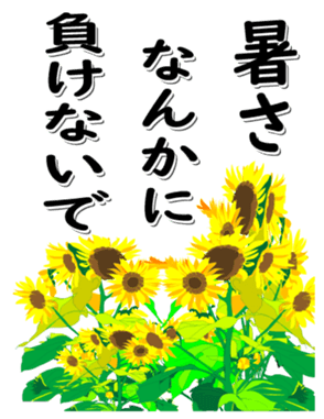 416816097