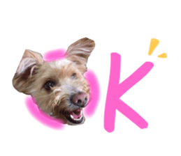 416854112