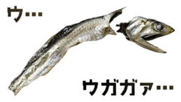 416914498