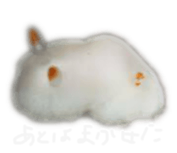 417033307