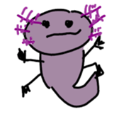 417043660