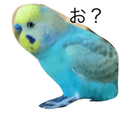 417057856