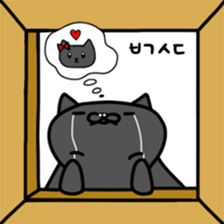 417081840