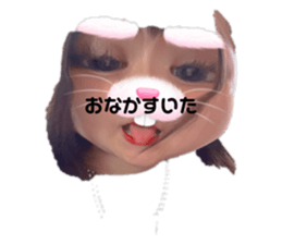 417088647