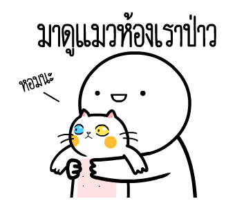 ลายที่ 17