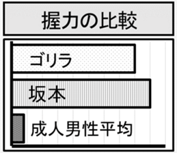 417270056