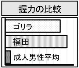 417274328