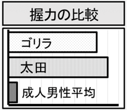417275208