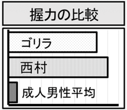 417276584