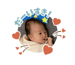 417376981
