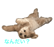 417416416