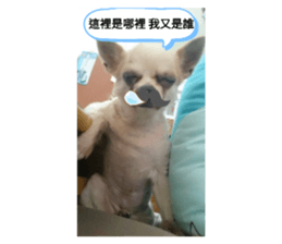 417436110