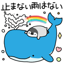 417520010