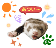 417564000