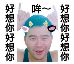 417567153