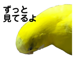 417572853