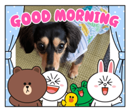 417585576
