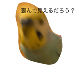417624124