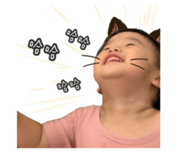 417657865