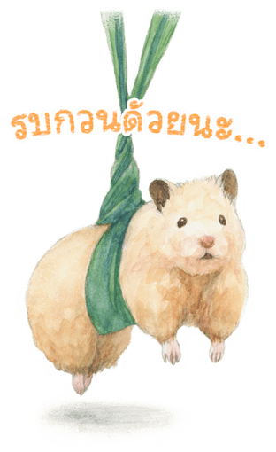 แฮมเตอร์ซูเคโรกุ 2 รูปที่ 7