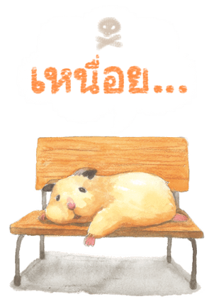 แฮมเตอร์ซูเคโรกุ 2 รูปที่ 17