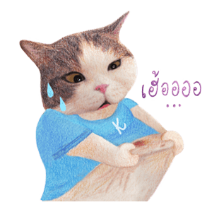 ลายที่ 15