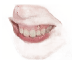 417904019